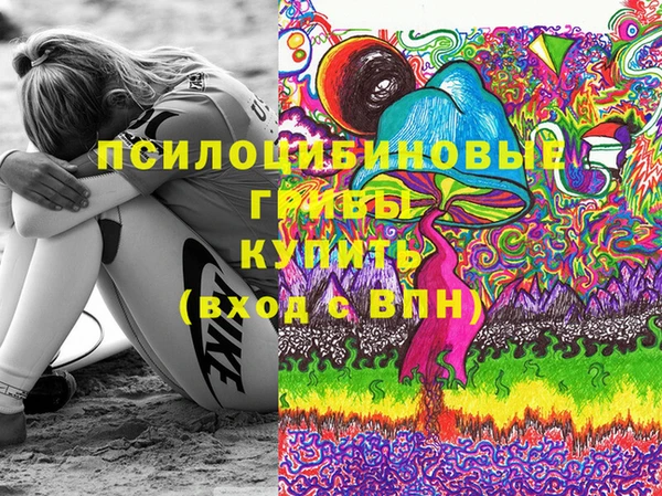 ГАЛЛЮЦИНОГЕННЫЕ ГРИБЫ Абаза
